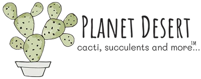 Planet Desert