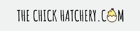 The Chick Hatchery