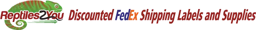 Reptiles2You