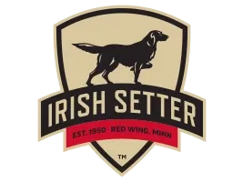 Irish Setter