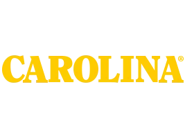 Carolinashoe.com