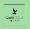 Gabriella Plants