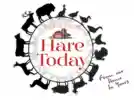 Hare Today