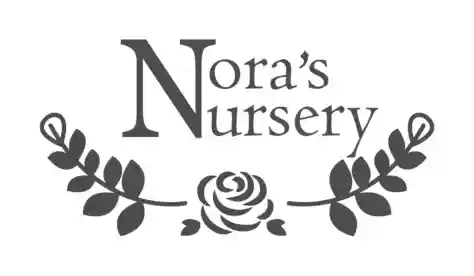 Nora's Nursery
